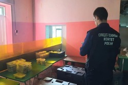 В Котовске заключили под стражу пенсионера, пытавшегося убить сына