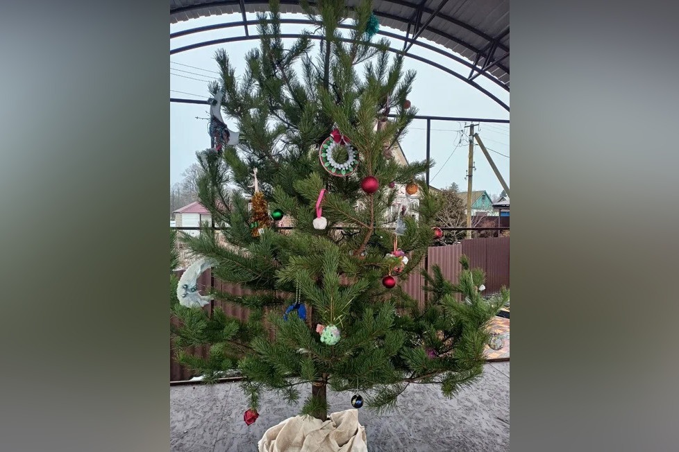 В Мичуринском районе новогодние ёлки установили во всех сельсоветах. В селе Стаево новогоднее дерево нарядили на сцене в новом, открывшемся в 2022 году Добропарке. Её украсили игрушками, сделанными детьми в рамках конкурса, который провёл сельсовет. Каждая игрушка подписана.