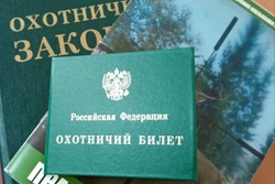 «Тамбовохота» теперь станет эффективнее бороться с браконьерами