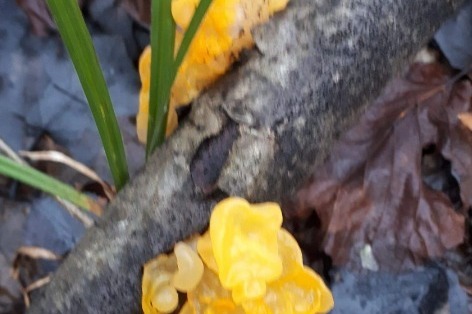 Фото: Наталия Служеникина