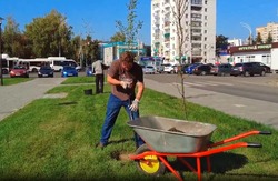 В Тамбове новый сквер на «Динамо» украсят клёны, голубые ели и сирень