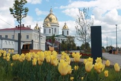 Пять общественных пространств обновили в Моршанске благодаря активности горожан