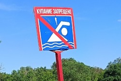В Тамбовской области непригодны для купания 14 пляжей