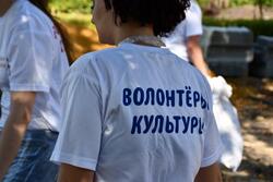 726 тамбовчан вступили в программу «Волонтёры культуры»