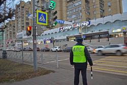 В рамках рейда в Тамбове оштрафовали 43 пешеходов