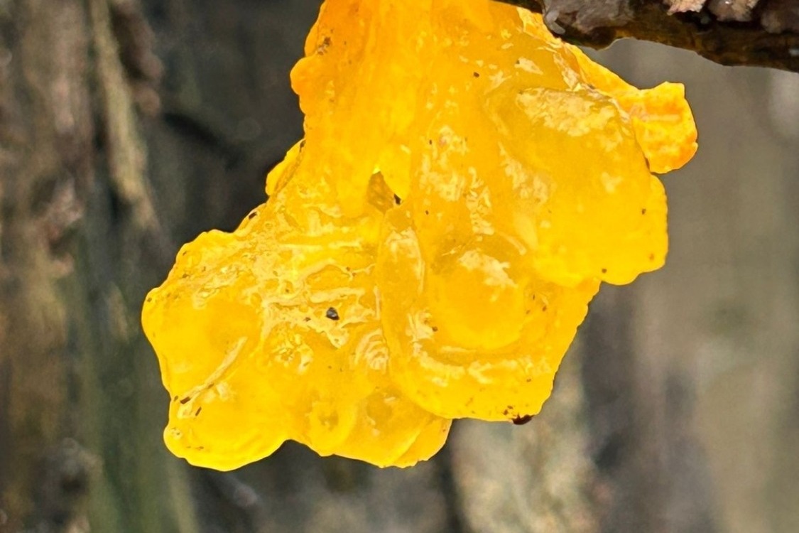 Фото: Артем  Сукаленко 