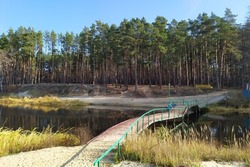 В Тамбовской области обновят лесной фонд на площади 760 гектаров