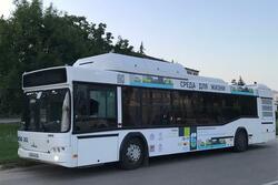 В Тамбове курсируют 15 автобусов с символикой Всероссийского форума