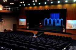 В Тамбове отменили концерт Тамары Гвердцители