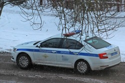 В Рассказовском районе местный житель ударил автоинспектора в лицо