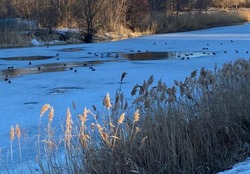 В Тамбовской области усиливают подготовку к пропуску весенних талых вод