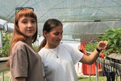 В рамках проекта «Билет в будущее» предприятия Тамбовской области посетили более 700 школьников региона