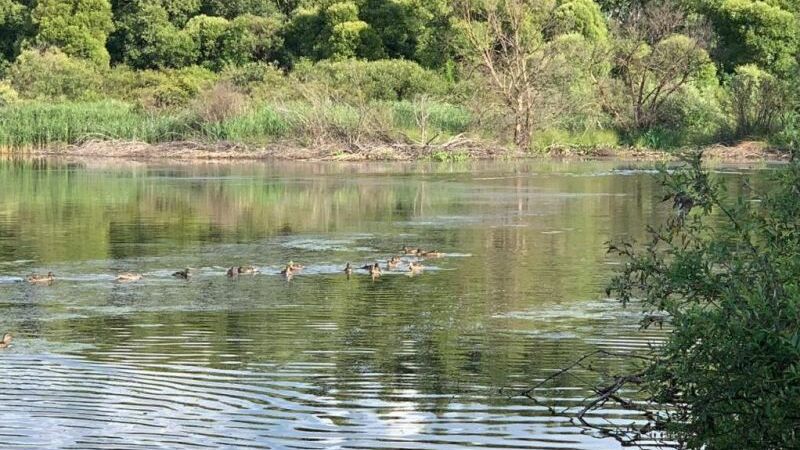 Шушпанское водохранилище тамбовской области карта глубин