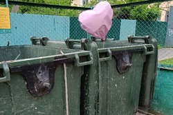 Тамбовчане могут пожаловаться на мусорные проблемы в чат-бот