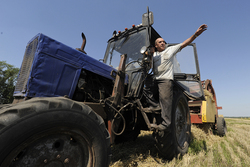 На поддержку фермеров в Тамбовской области направят более 70 млн рублей