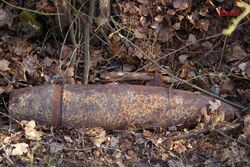 В лесу под Тамбовом обнаружили артиллерийский снаряд