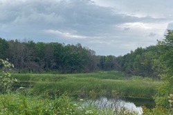 В Тамбовской области усилили экологический надзор за сохранением природных ресурсов