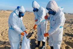 Мазутный плен:  как тамбовские волонтеры спасали черноморское побережье