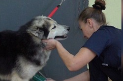 Многодетная мать из Тамбовской области стала предпринимателем с помощью соцконтракта