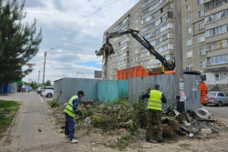 За первую половину мая в Тамбове ликвидировали более 180 стихийных свалок