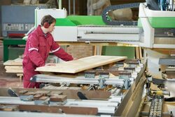 В этом году в Тамбовской области модернизируют еще несколько цехов переработки мелкотоварной древесины