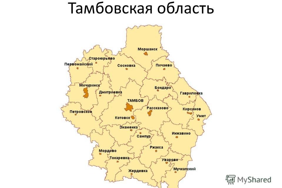 Гугл карта жердевка