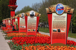 В тамбовском парке Победы установят бюст лётчика-героя Ивана Драченко