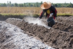 Тамбовские аграрии повышают плодородие почв, а затраты компенсирует государство