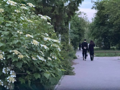 В Тамбов придет почти летнее потепление