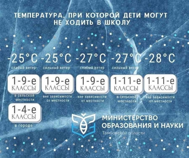 Умётцам рассказали, при какой температуре школьники могут не посещать школу  | Голос хлебороба