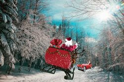 Тамбовчане могут стать участниками акции «Тайный Дед Мороз»