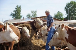 Четыре тамбовских фермера получат 10,5 миллионов рублей по программе «Агростартап»