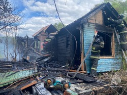 В Тамбове сгорели две дачи: пострадал мужчина