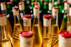 В регионе выявили 67 нарушений лицензионных требований при торговле алкогольной продукцией