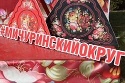 Мичуринский округ стал победителем конкурса «Лучшая муниципальная практика»