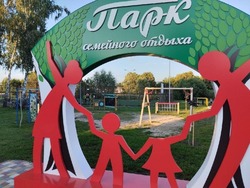 Вандалу из Мучкапского округа грозит наказание за повреждение арт-объекта