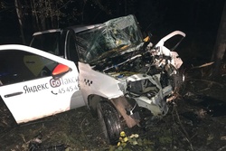 В Тамбове водитель такси врезался в дерево и погиб