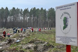 На Тамбовщине 18 апреля проходит международная акция «Сад памяти»