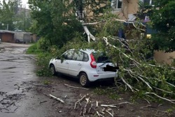Власти Тамбова активно борются с последствиями ливня и урагана