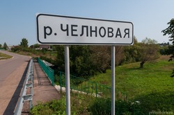 В Тамбовском районе на расчистку берегов Челновой в районе Селезней направят 1 миллион рублей