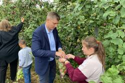 В Мичуринске дети из социальных учреждений собрали яблоки и узнали о профессии садовода