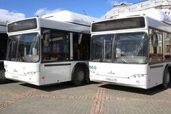 Тамбов закупит ещё шесть новых автобусов для городских маршрутов