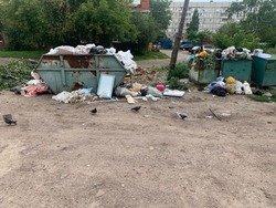 Госдума рассматривает закон о несанкционированных свалках мусора