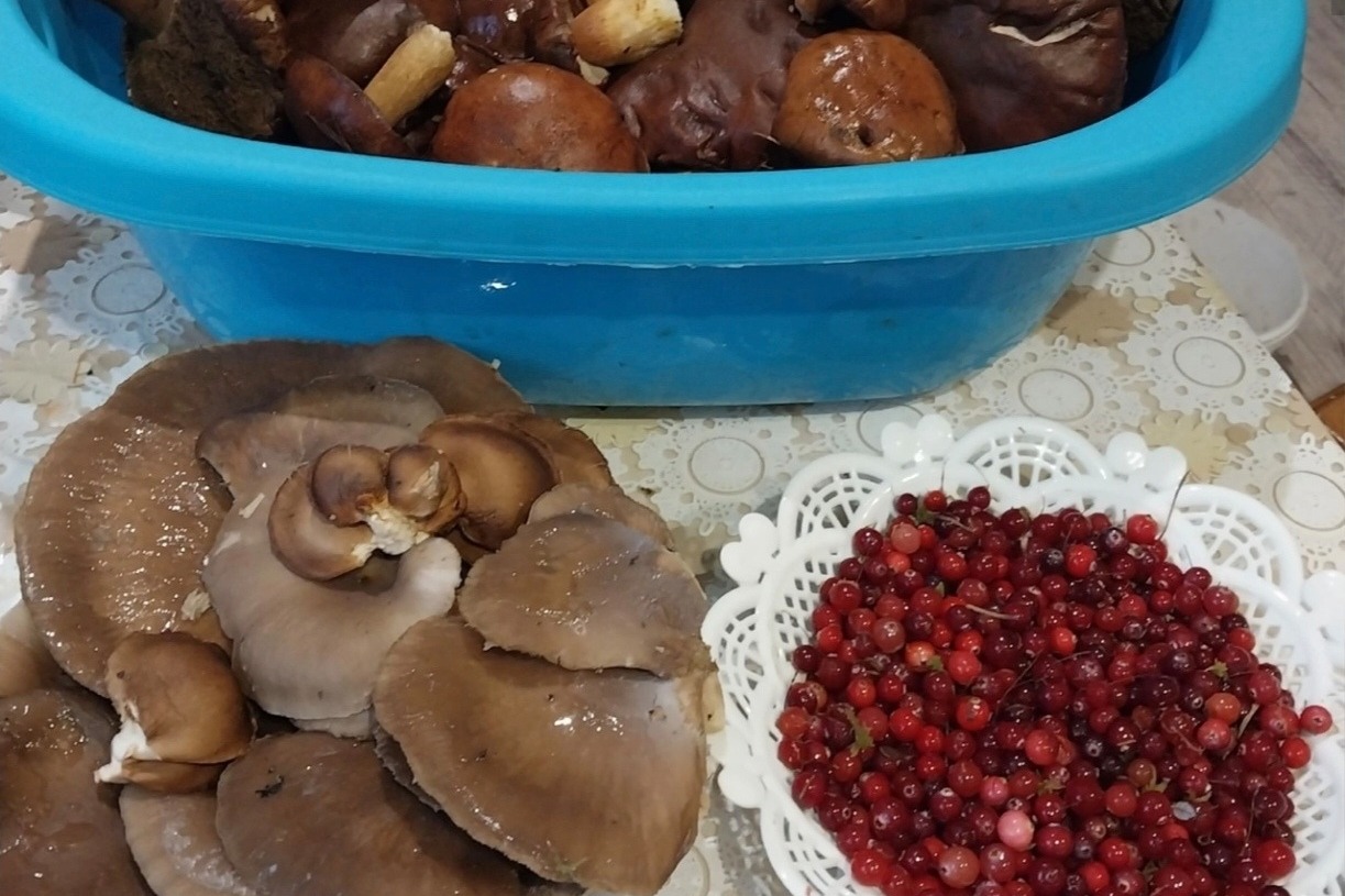 Фото: Галина Ламешина