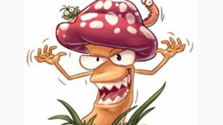 Веселый гриб. Это грибы дзен. Довольный гриб. Дедушка грибник. Самый большой гриб в мире.