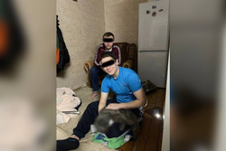 Дело тамбовских студентов колледжа, замучивших кота, передают в суд
