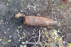 В Тамбовском районе грибник нашёл артиллерийский снаряд