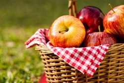 Рассказовская усадьба Асеевых приглашает отметить Спасы варениками с яблоками