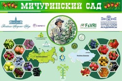 «Мичуринский сад» открылся в Казахстане
