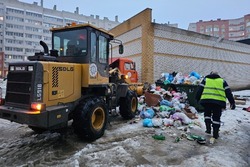 В Тамбове начали разбирать скопившийся мусор у контейнеров